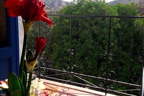 Landejendom i Arboleas, Almeria, Arboleas - € 299.995 | Ref: Casa AVmau - foto 43